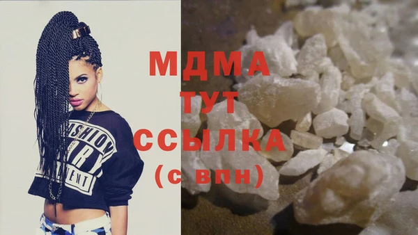 ГАЛЛЮЦИНОГЕННЫЕ ГРИБЫ Михайлов
