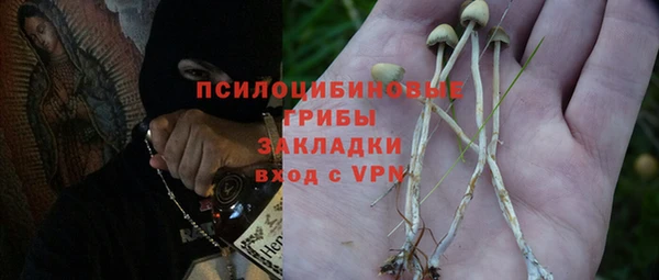сатива Михайловка