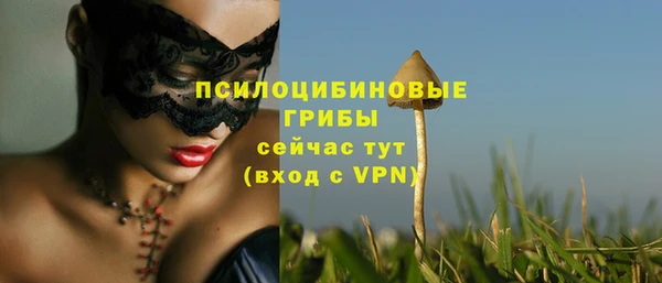 мяу мяу мука Михайловск