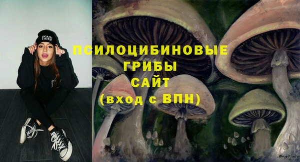 а пвп мука Мегион
