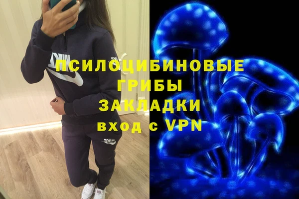 ГАЛЛЮЦИНОГЕННЫЕ ГРИБЫ Михайлов