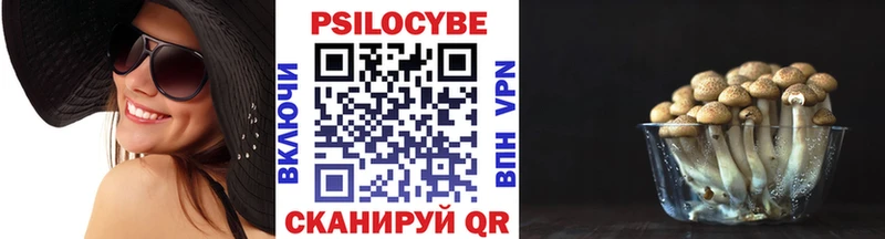 гидра как войти  Нижняя Тура  Псилоцибиновые грибы Psilocybe 